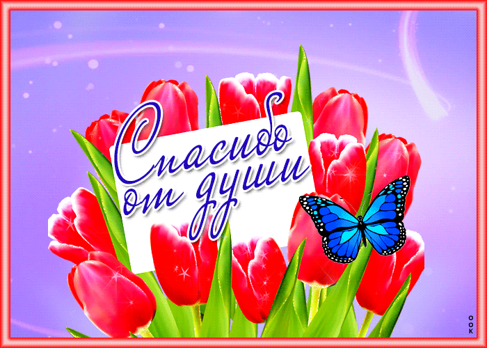 Picture виртуальная открытка с тюльпанами спасибо от души