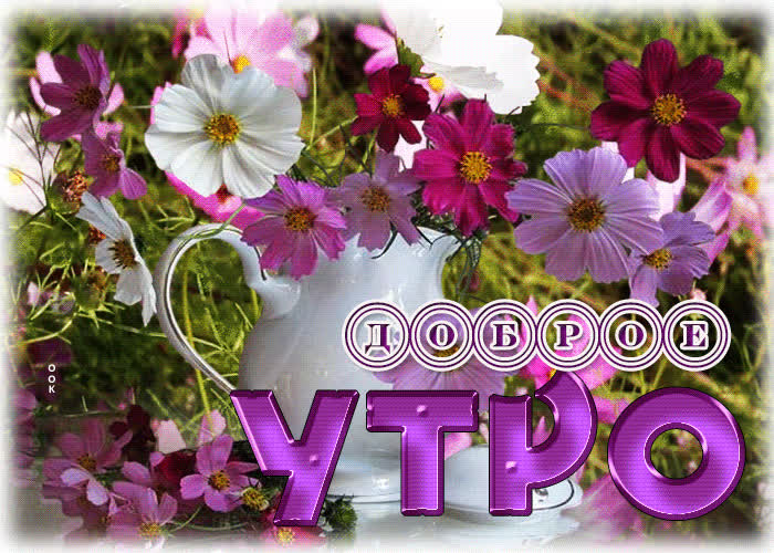 Волшебная анимационная летняя открытка Доброе утро- Скачать бесплатно ...