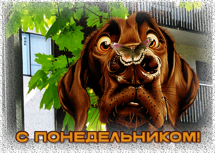 Postcard волшебная гиф-открытка с понедельником