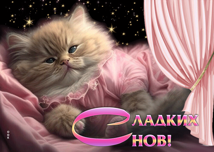 Postcard волшебная и чарующая открытка с милой кошкой сладких снов