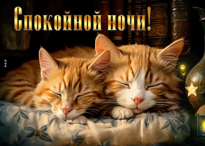 Postcard волшебная и загадочная гиф-открытка с котиками спокойной ночи