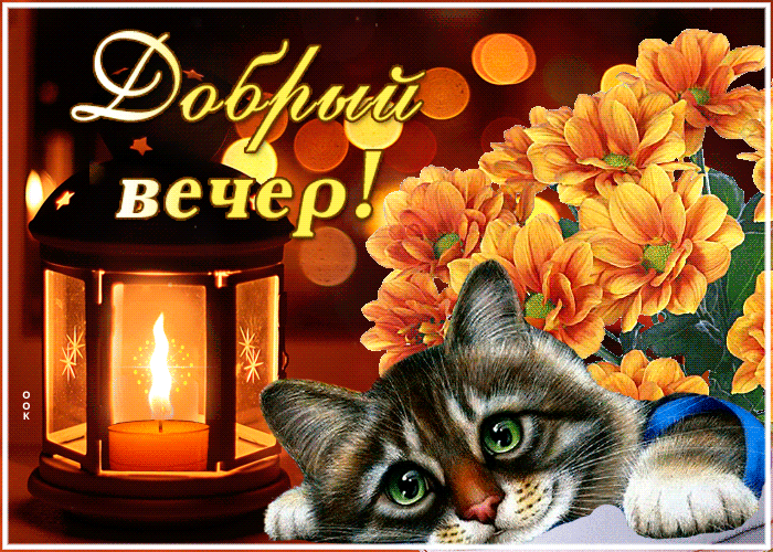 Postcard волшебная открытка добрый вечер! с котиком и свечой