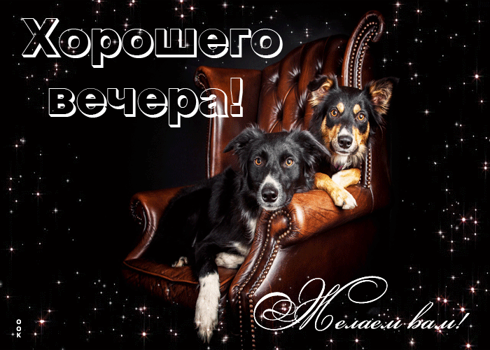 Picture волшебная открытка с собачками хорошего вечера желаем вам