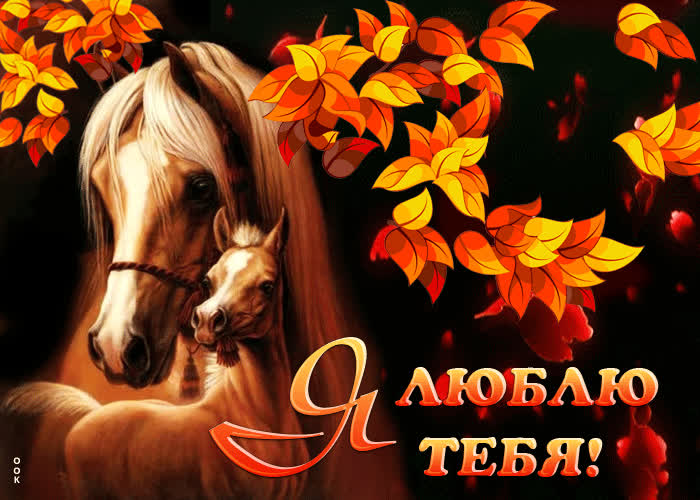 Postcard восхитительная анимационная открытка с лошадьми я люблю тебя
