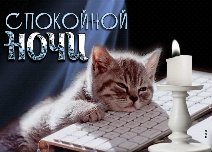 Postcard восхитительная открытка с котенком и свечой спокойной ночи