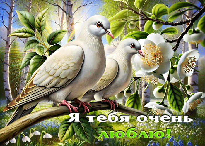 Postcard восхитительная весенняя открытка я тебя очень люблю