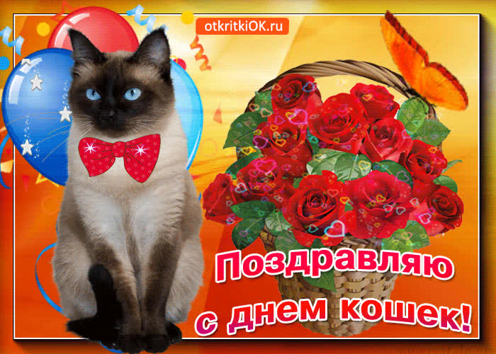 Картинка вот тебе корзина с розами в день кошек