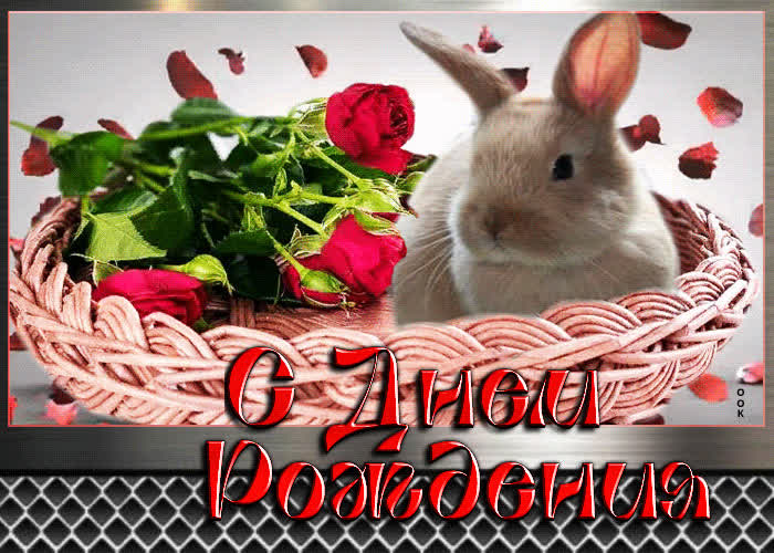Postcard впечатляющая открытка с кроликом с днем рождения