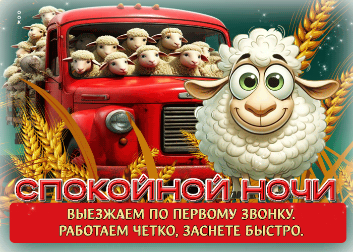 Postcard выезжаем по первому звонку, работаем четко, заснете быстро