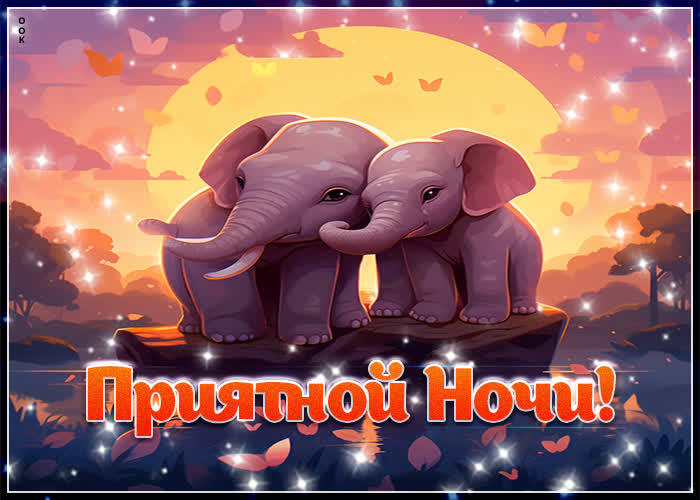 Picture выразительная открытка со слониками приятной ночи