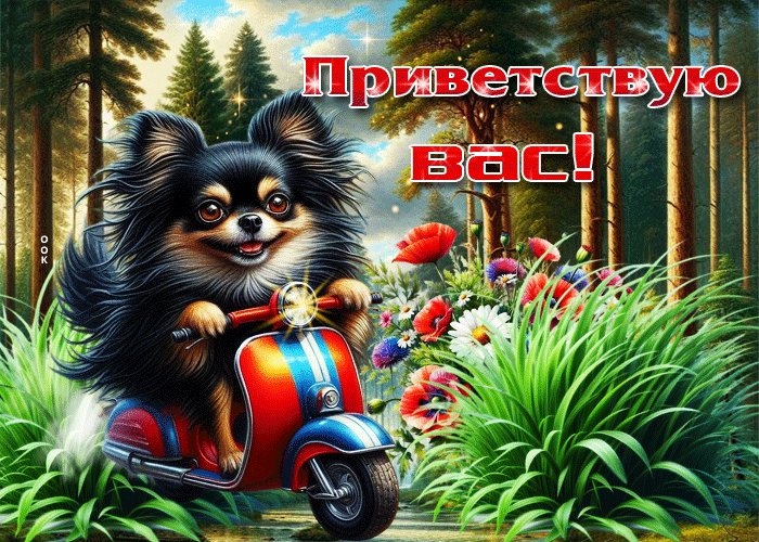 Postcard харизматичная летняя гиф-открытка приветствую вас!