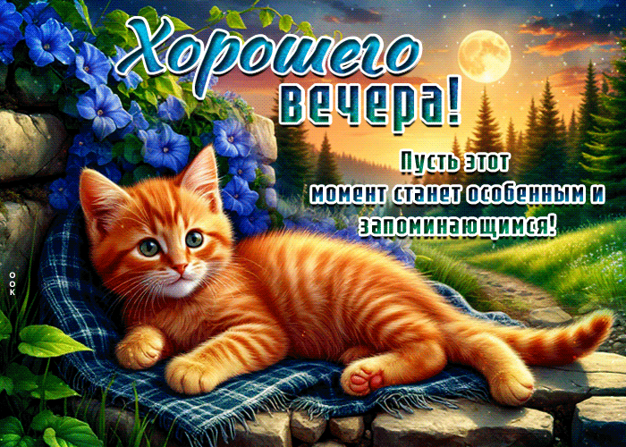 Postcard хорошего вечера! пусть этот момент станет особенным и запоминающимся!