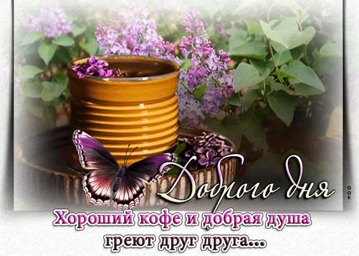 Хороший кофе и добрая душа греют друг друга... - Скачать бесплатно на ...