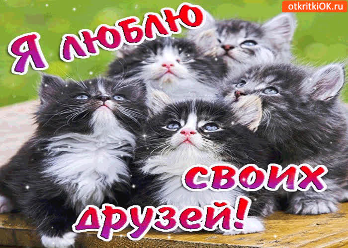 Открытки я люблю друзей, лет открытки прикольные