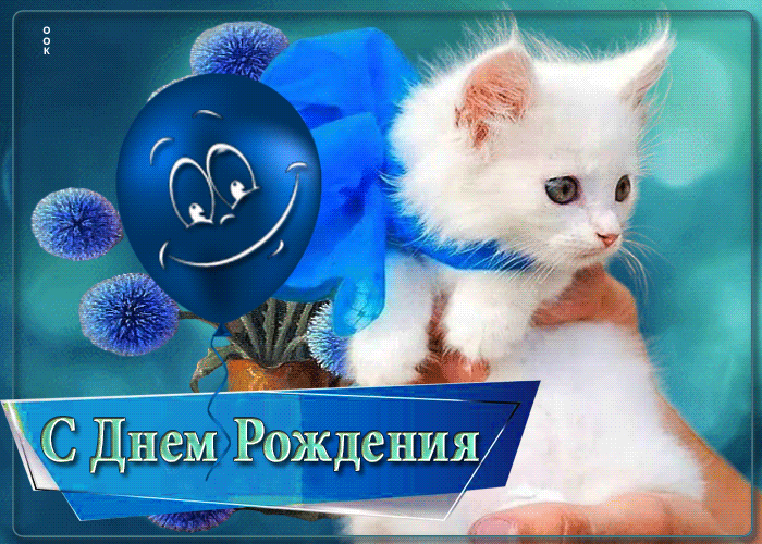 Picture яркая гиф-открытка с белым котиком с днем рождения