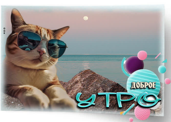 Postcard яркая гиф-открытка с котом на море доброе утро