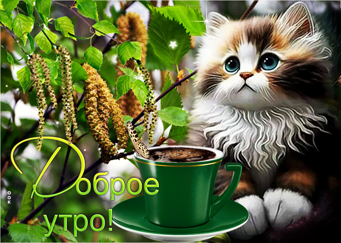 Postcard яркая и красочная гиф-открытка с котиком доброе утро