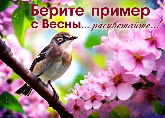 Postcard яркая и оживленная гиф-открытка берите пример с весны - расцветайте