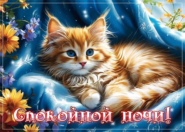 Postcard яркая и счастливая открытка с котенком спокойной ночи