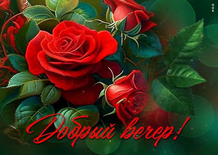 Postcard яркая и счастливая открытка с розами добрый вечер