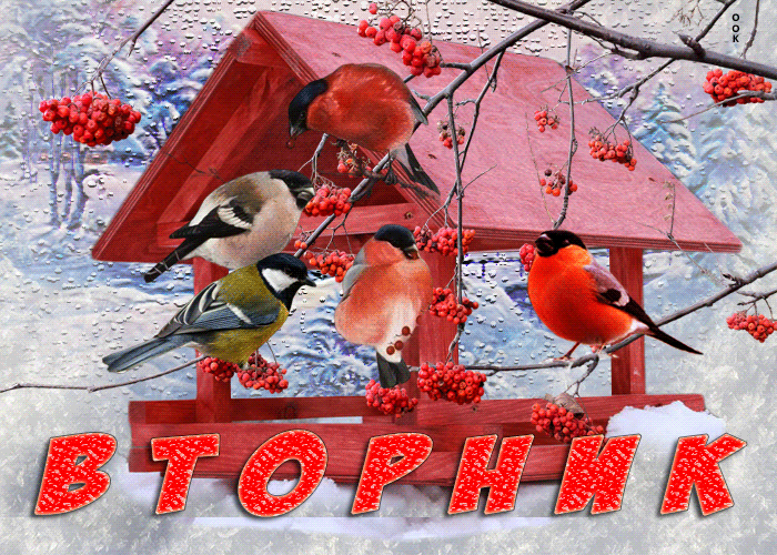 Picture яркая и творческая гиф-открытка с птичками вторник
