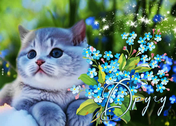 Picture яркая и жизнерадостная открытка с котиком другу