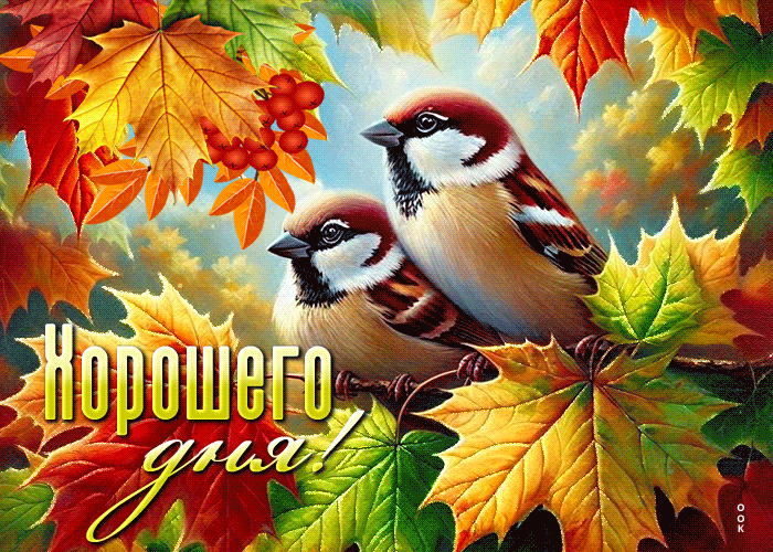 Picture яркая осенняя гиф-открытка хорошего дня