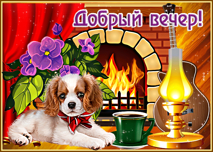 Postcard яркая открытка добрый вечер! с собачкой у камина