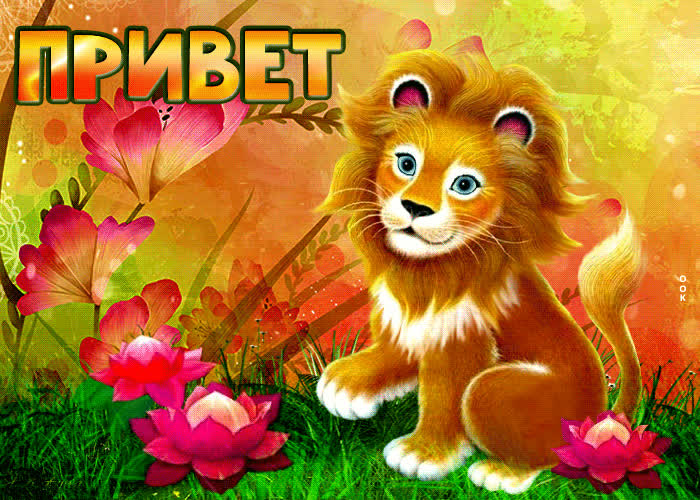 Яркая открытка с львенком - Скачать бесплатно на otkritkiok.ru