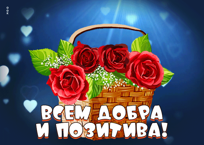 Picture яркая открытка всем добра и позитива! с розами