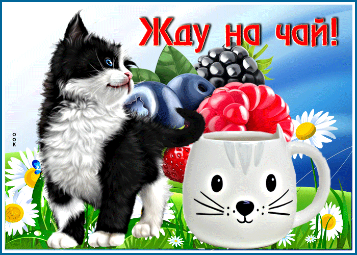 Картинка забавная открытка с кошечкой жду на чай