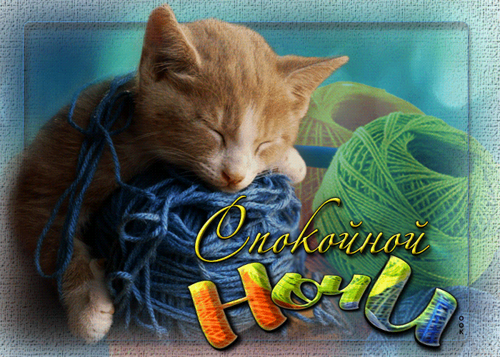 Postcard забавная открытка с котенком в клубках спокойной ночи