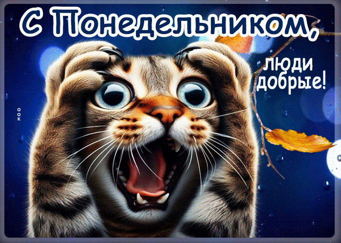 Postcard забавная открытка с понедельником, люди добрые