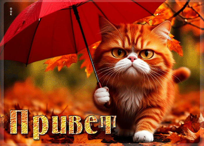 Picture задушевная осенняя гифка привет
