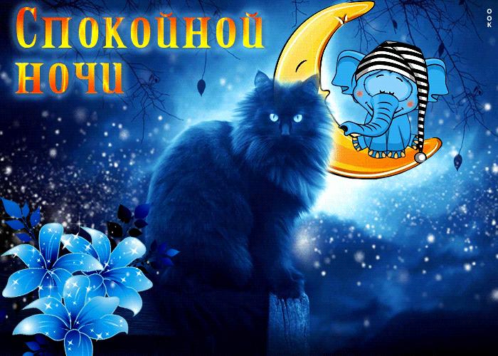Picture загадочная открытка с кошкой спокойной ночи!