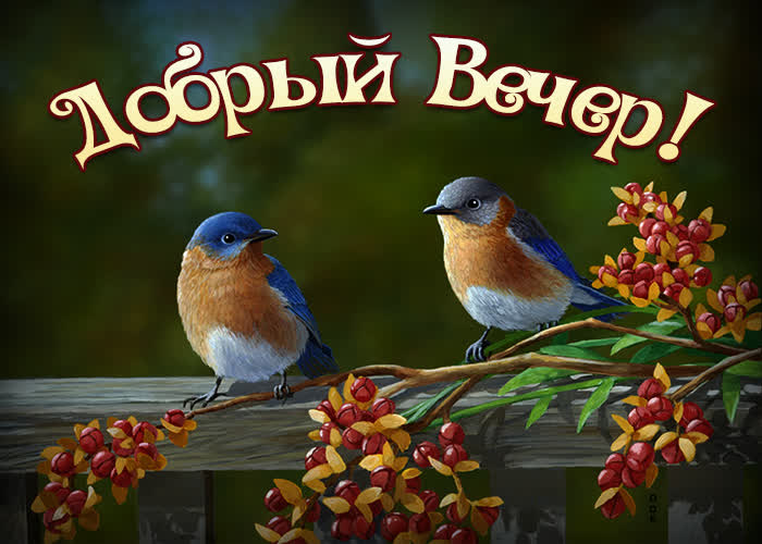 Postcard замечательная картинка добрый вечер с птичками