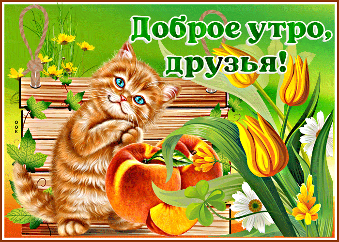 Picture замечательная открытка с котиком доброе утро, друзья!