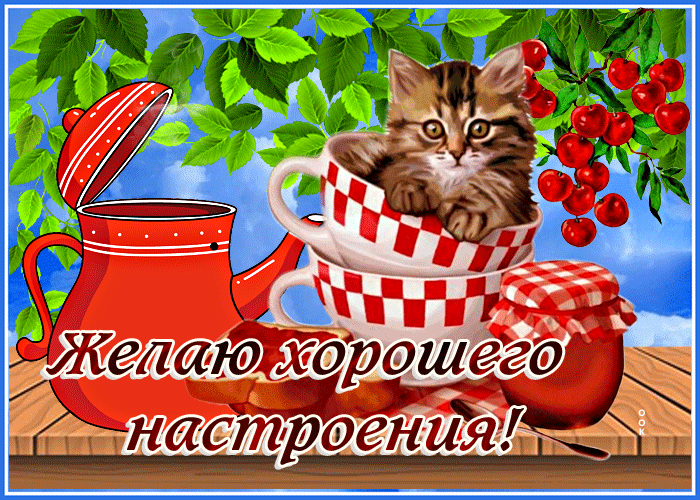 Picture замечательная открытка с котом  желаю хорошего настроения!