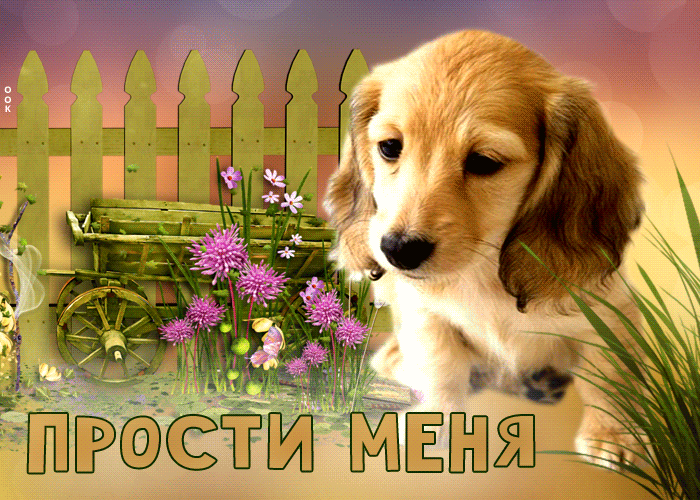 Picture замечательная открытка с собакой прости меня