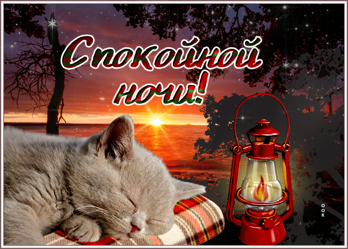 Picture замечательная открытка спокойной ночи! с котиком