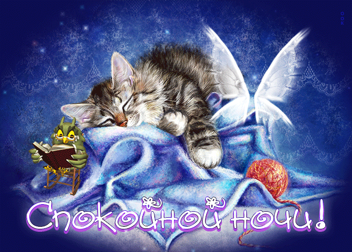 Postcard замечательная открытка спокойной ночи! с котиком