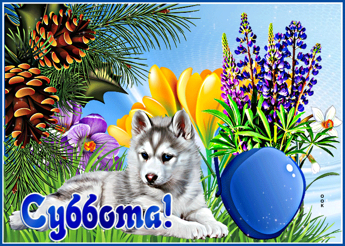 Postcard замечательная открытка суббота! с щенком и цветами