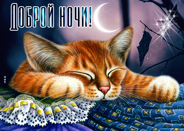Открытка замечательная картинка спокойной ночи с кошкой