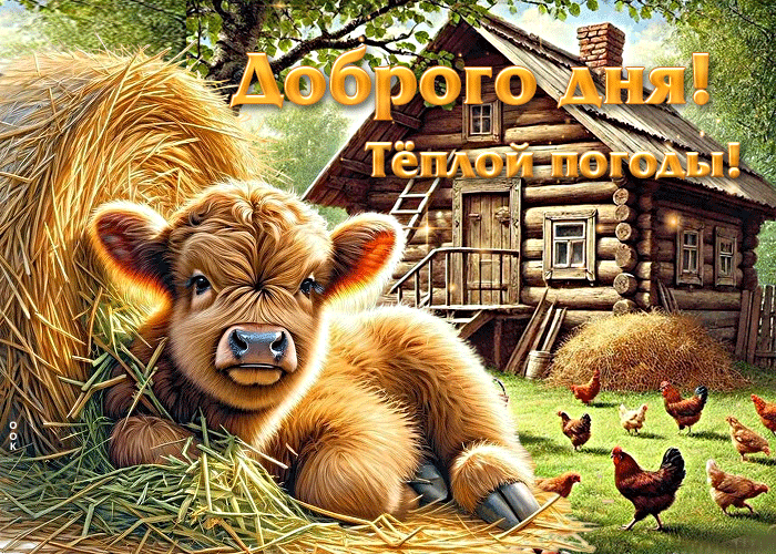 Postcard завораживающая гиф-открытка доброго дня! теплой погоды!