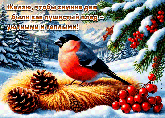 Postcard желаю, чтобы зимние дни были как пушистый плед