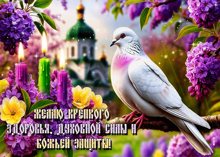 Picture желаю крепкого здоровья, духовной силы и божьей защиты