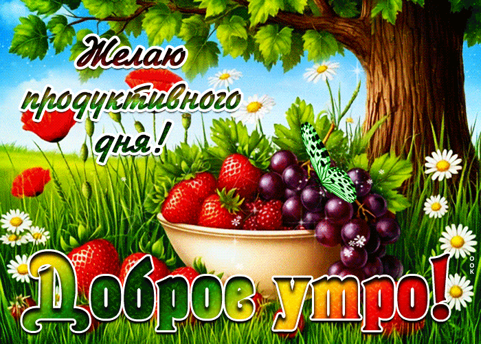 Postcard желаю продуктивного дня! доброе утро!