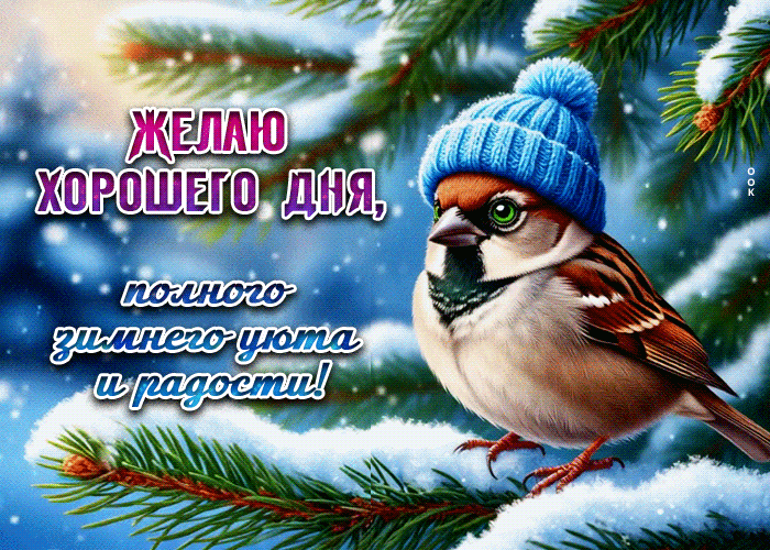 Postcard желаю хорошего дня, полного зимнего уюта и радости