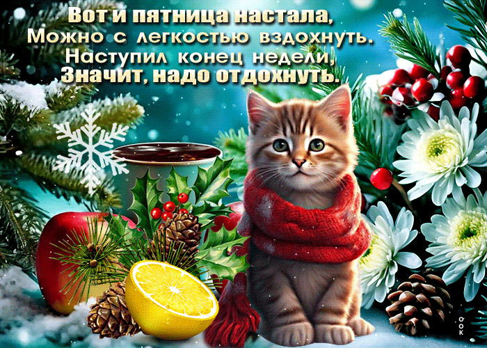 Postcard зимняя открытка с милым котиком вот и пятница