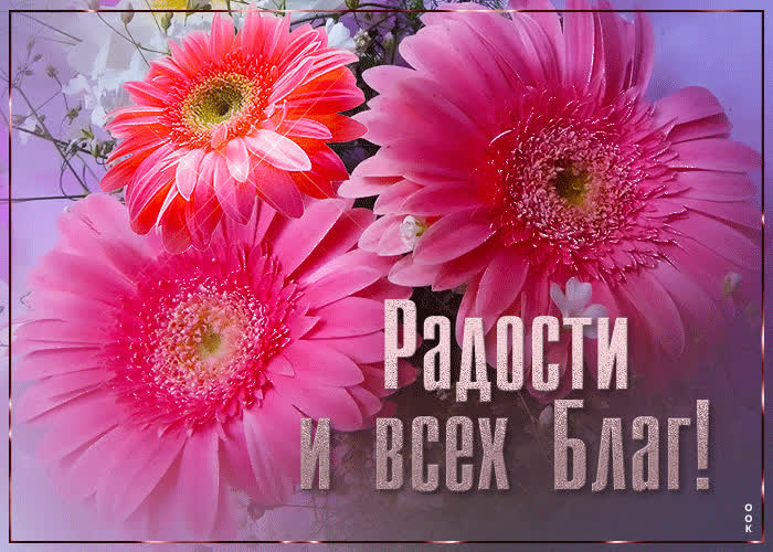 Picture живая открытка с цветами радости и всех благ!